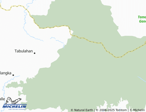 MICHELIN Saluleang map - ViaMichelin