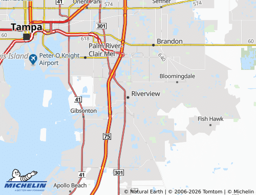 Mappa MICHELIN Riverview - ViaMichelin