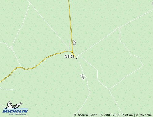 Mapa MICHELIN Naica - ViaMichelin