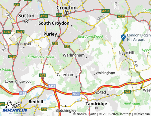 Carte MICHELIN Whyteleafe - ViaMichelin