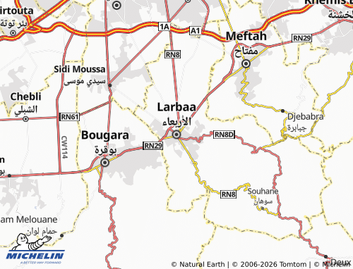 Carte MICHELIN Larbaa - ViaMichelin