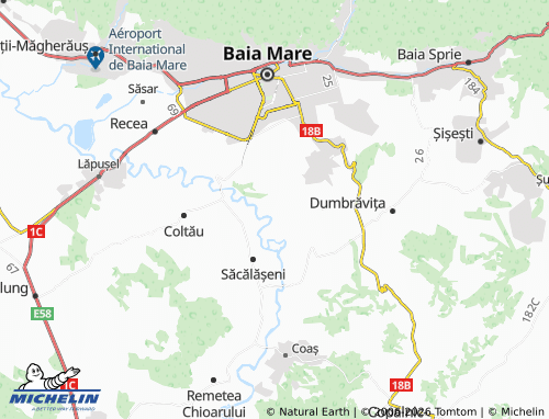 Mappa MICHELIN Ocoliș - ViaMichelin