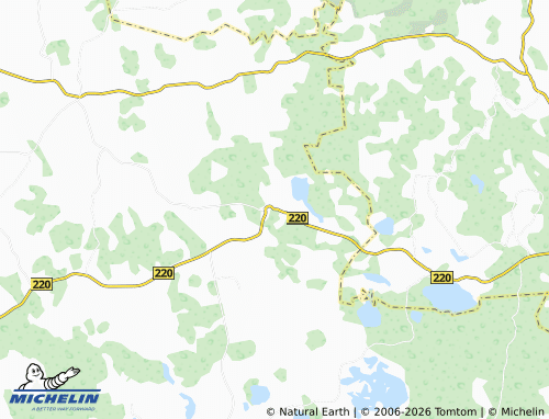Mappa MICHELIN Pivašiūnai - ViaMichelin