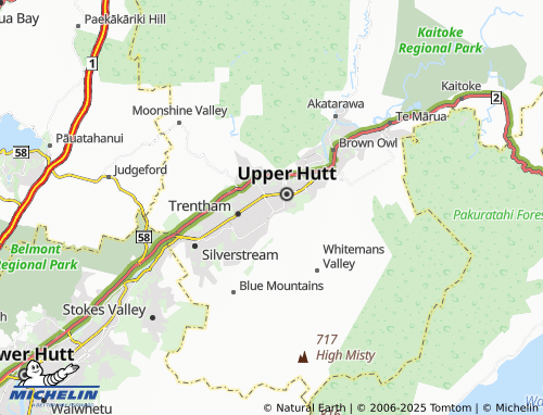 MICHELIN Wallaceville map - ViaMichelin