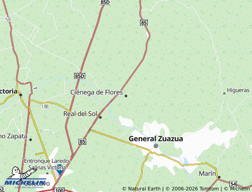 Mapa MICHELIN Ciénega de Flores - ViaMichelin