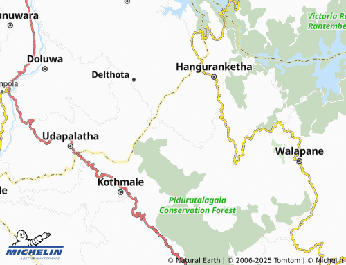 MICHELIN Daraoya map - ViaMichelin