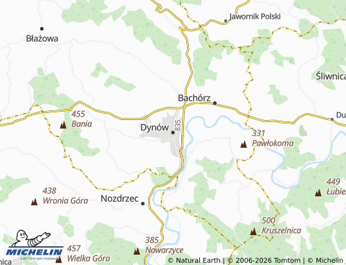 Carte MICHELIN Dynów - ViaMichelin
