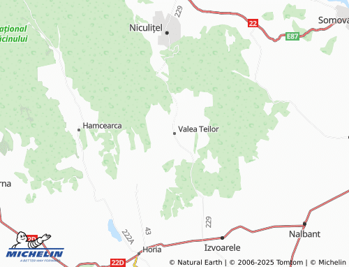MICHELIN Valea Teilor map - ViaMichelin