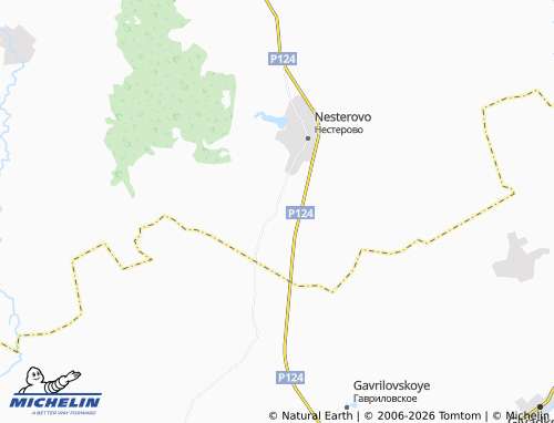 MICHELIN Svishchevo map - ViaMichelin