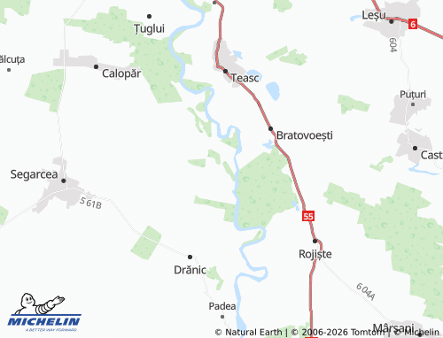 MICHELIN Foișor map - ViaMichelin