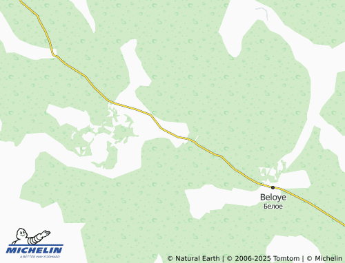 MICHELIN Dubasovo map - ViaMichelin