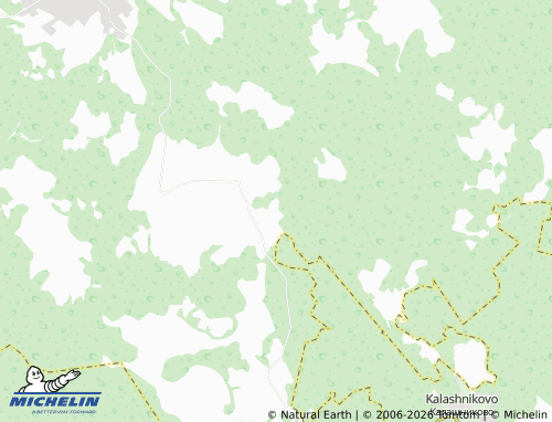 Carte MICHELIN Levoshinka - ViaMichelin