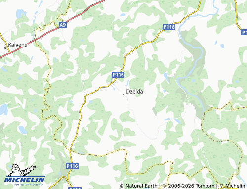 Mapa MICHELIN Dzelda - ViaMichelin