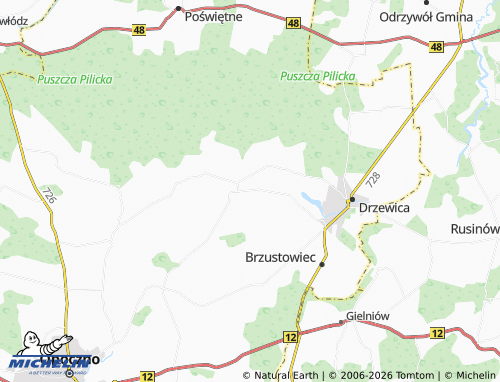 MICHELIN Radzice Duże map - ViaMichelin