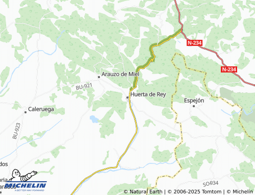 MICHELIN Huerta de Rey map - ViaMichelin