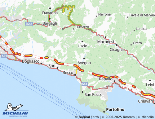 MICHELIN Arbora map - ViaMichelin