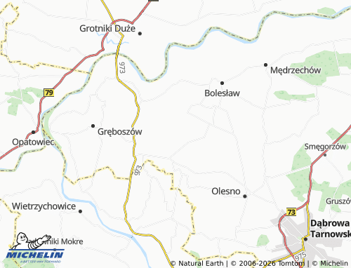 MICHELIN Zalipie map - ViaMichelin