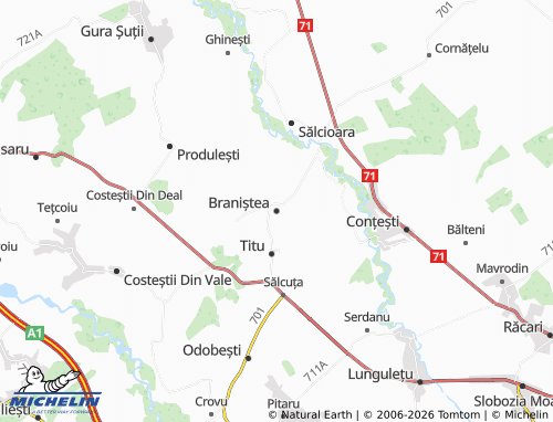 Mappa MICHELIN Braniștea - ViaMichelin