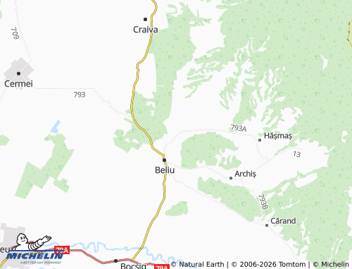 Mappa MICHELIN Tăgădău - ViaMichelin