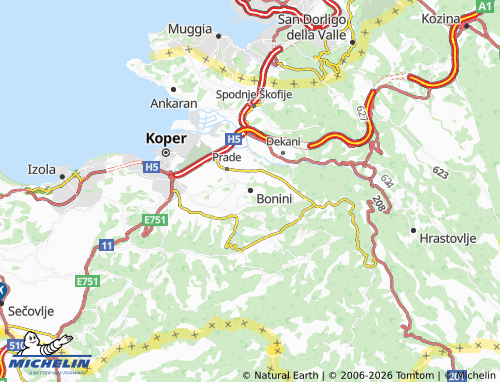 MICHELIN-Landkarte Bonini - ViaMichelin