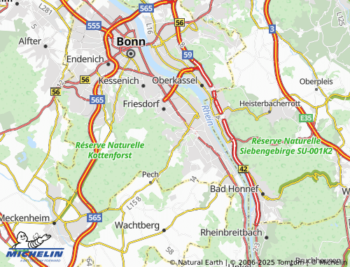 MICHELIN Schweinheim map - ViaMichelin