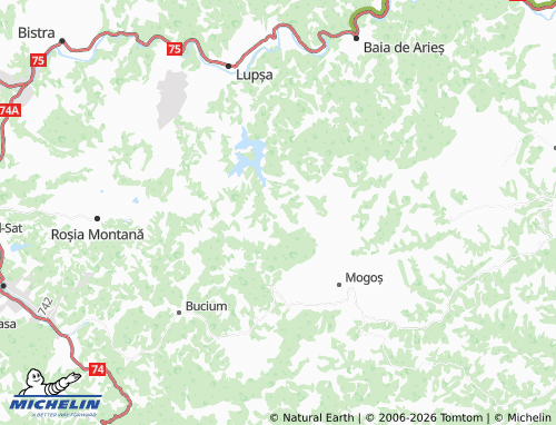Mapa MICHELIN Vința - ViaMichelin