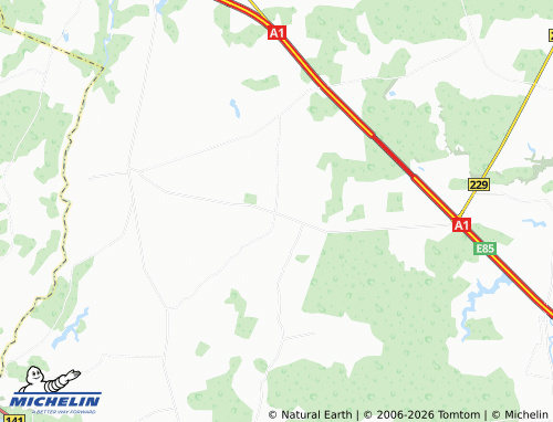 Mappa MICHELIN Liučiūnai - ViaMichelin