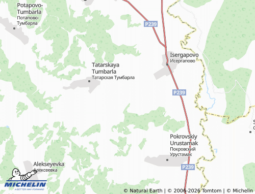 MICHELIN-Landkarte Shamayevo - ViaMichelin