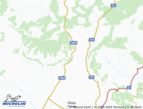 Mapa MICHELIN Voyvoda - ViaMichelin