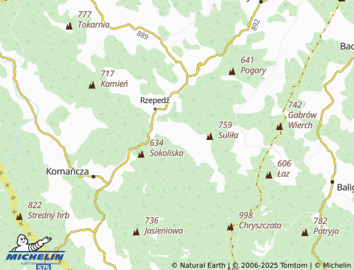 MICHELIN Turzańsk map - ViaMichelin