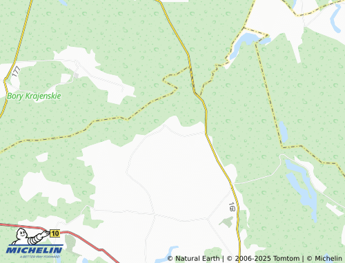 MICHELIN Rudki map - ViaMichelin
