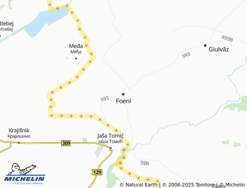 MICHELIN Foeni map - ViaMichelin