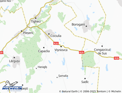 MICHELIN-Landkarte Vișniovca - ViaMichelin