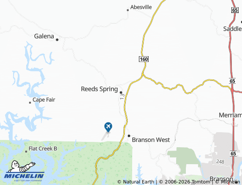 Mappa MICHELIN Reeds Spring - ViaMichelin