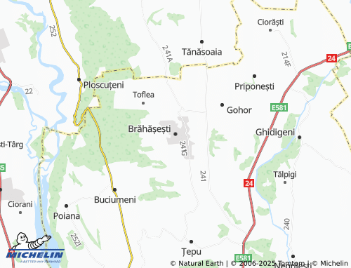 MICHELIN Brăhășești map - ViaMichelin