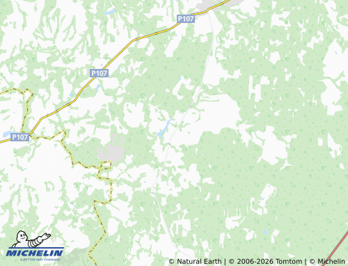 Carte MICHELIN Spasskoye - ViaMichelin