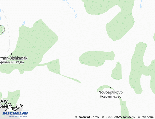 MICHELIN Salikhovo map - ViaMichelin