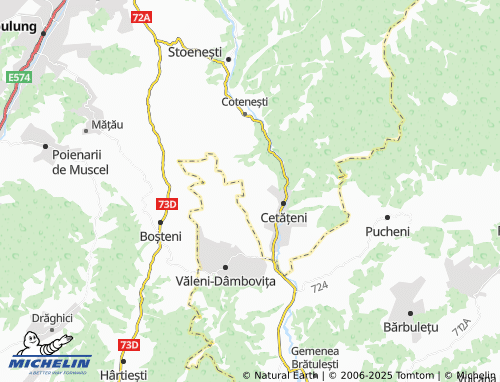 MICHELIN Valea Cetățuia map - ViaMichelin