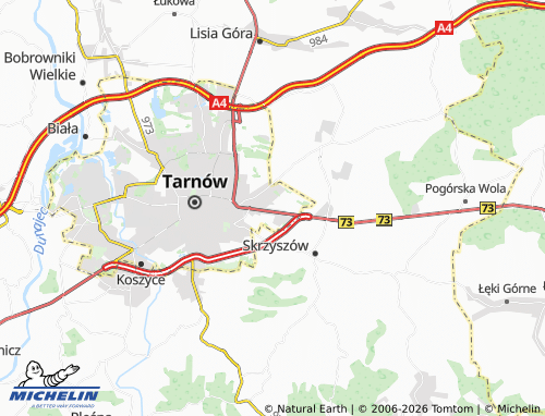 MICHELIN Rzędzin map - ViaMichelin