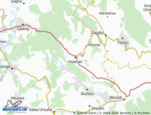 Mappa MICHELIN Poienari - ViaMichelin