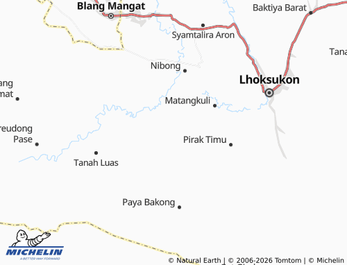 MICHELIN Leuhong map - ViaMichelin