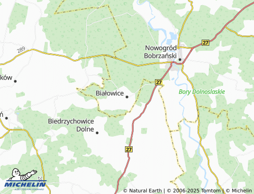 MICHELIN Białowice map - ViaMichelin