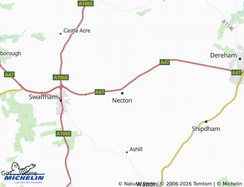 Carte MICHELIN Necton - ViaMichelin