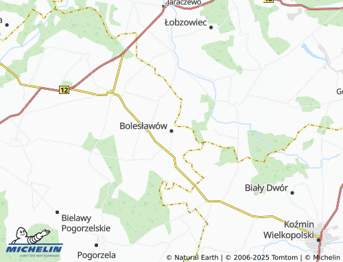 MICHELIN Bolesławów map - ViaMichelin