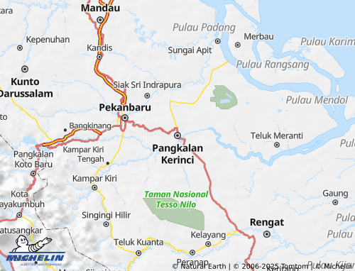 MICHELIN Pelalawan map - ViaMichelin