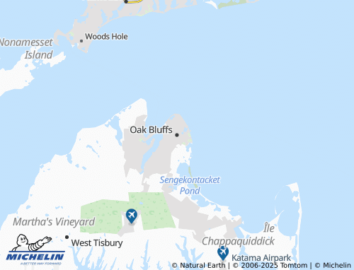 MICHELIN Oak Bluffs map - ViaMichelin