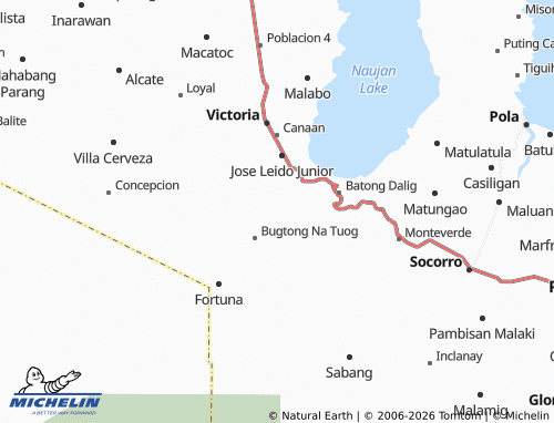 MICHELIN Ma. Concepcion map - ViaMichelin