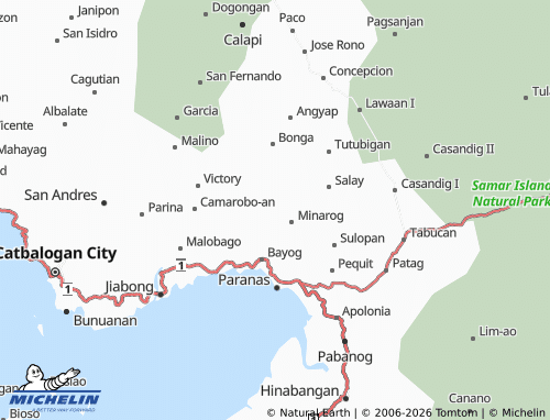 MICHELIN New Minarog map - ViaMichelin