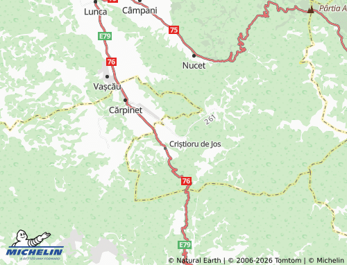 Mappa MICHELIN Săliște De Vașcău - ViaMichelin