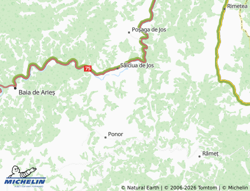 MICHELIN Dumești map - ViaMichelin